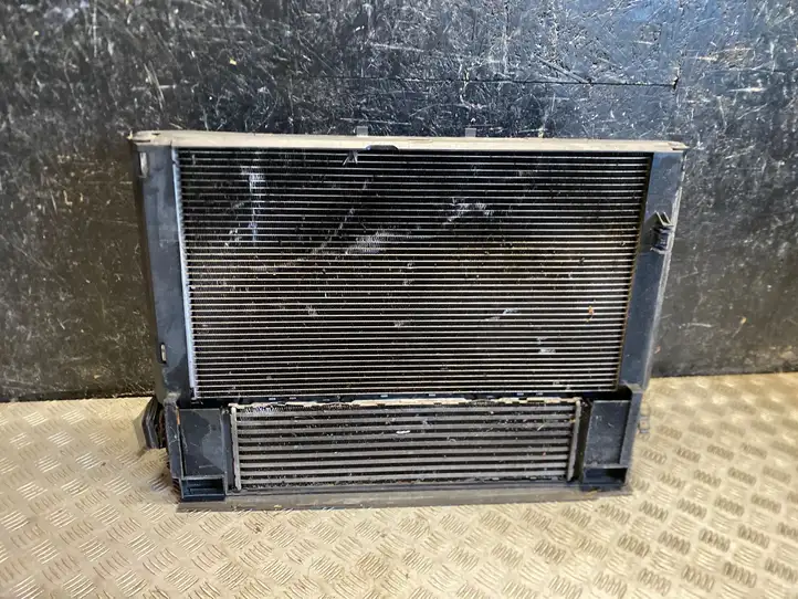 BMW 3 F30 F35 F31 (2012 - 2018) 760053004 Радиатор охлаждающей жидкости двигателя — фото 1