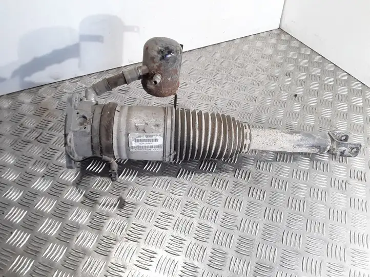 Audi A8 S8 D3 4E (2005 - 2007) 4E0616002E Задний амортизатор (пневмоподвеска) — фото 1