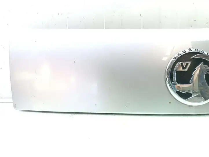 Opel Antara (2011 - 2017) 96661344 Подсветка номера — фото 2
