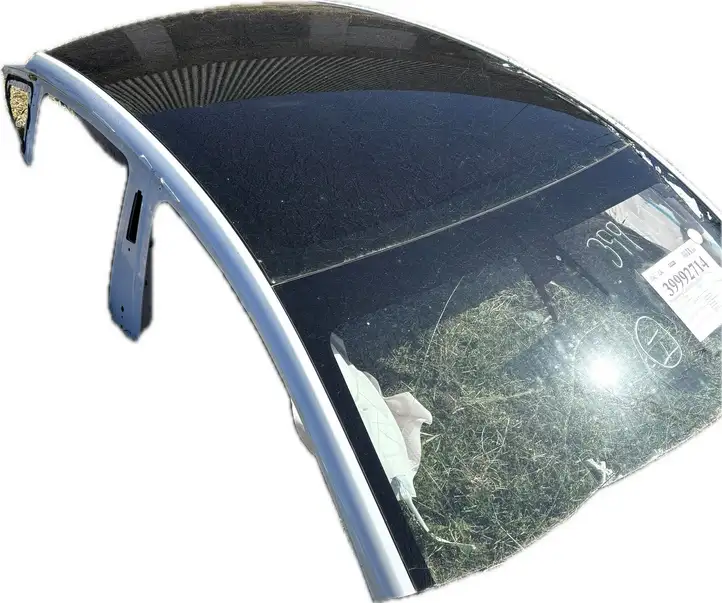 Tesla Model Y (2019 - 2024) Крыша — фото 1