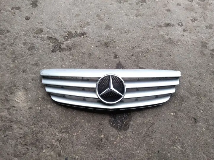 Mercedes-Benz B-class W245 (2005 - 2008) A1698800183 Верхняя решетка радиатора — фото 1