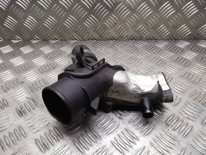 Nissan Qashqai (2013 - 2017) 165765493R Трубка подачи воздуха — фото 3