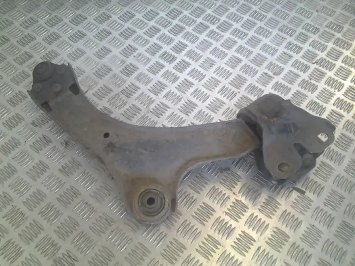 Ford Mondeo MK IV (2007 - 2014)   Вилы