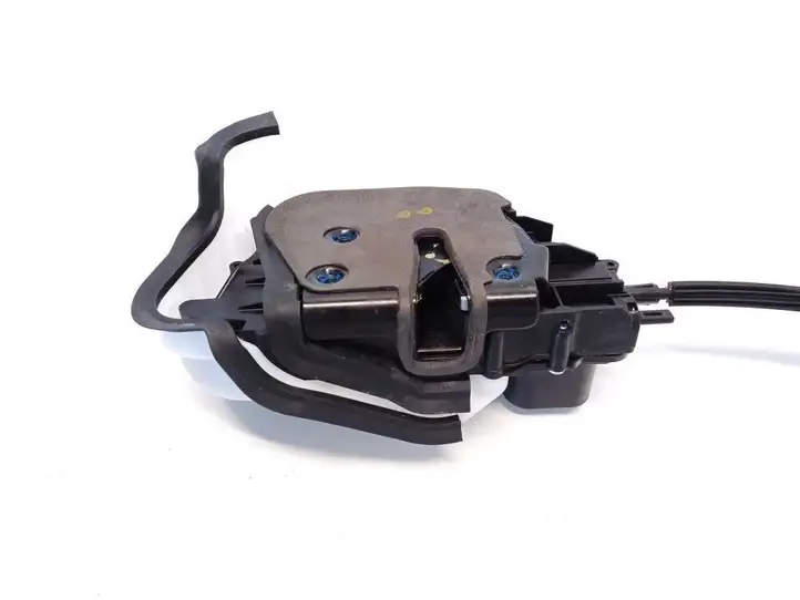 Ford Mustang Mach-E (2020 - )  LJ8B-R264B52-AN Замок задней двери