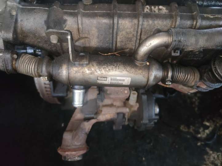 9627242880 Citroen C5 EGR aušintuvas