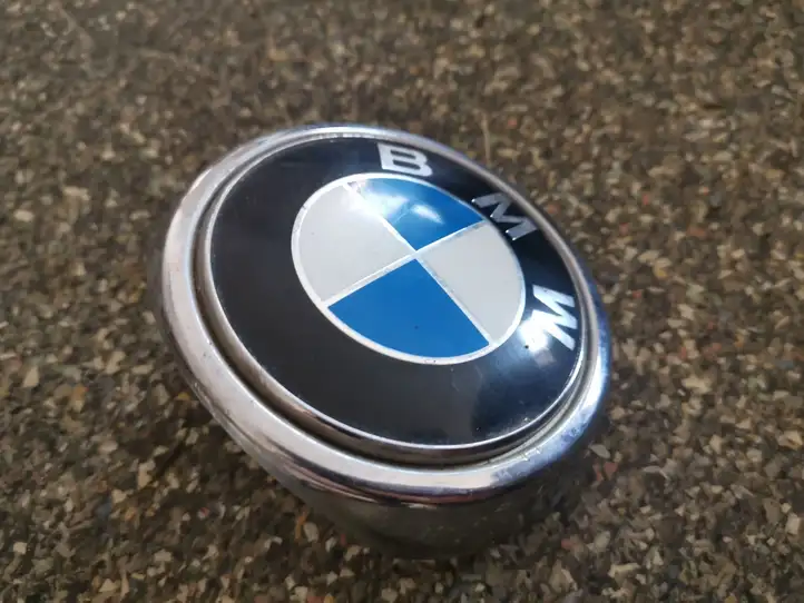 BMW X5 E53 (1999 - 2006) Эмблема производителя — фото 2