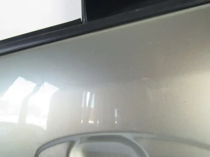 Toyota Prius (NHW20) (2003 - 2009) Задняя дверь — фото 5