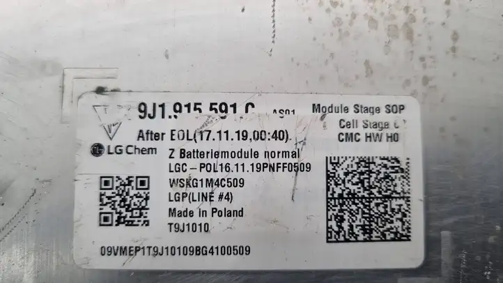 Porsche Taycan 9J1 (2019 - ) Модуль аккумуляторной батареи гибридного автомобиля / электромобиля — фото 6