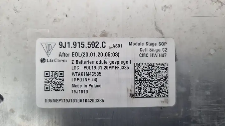 Porsche Taycan 9J1 (2019 - ) 9J191592C Модуль аккумуляторной батареи гибридного автомобиля / электромобиля — фото 6