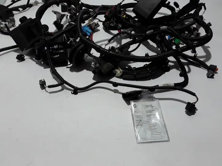 Renault Megane E-Tech (2022 - ) 403883089R Прочая электропроводка — фото 2