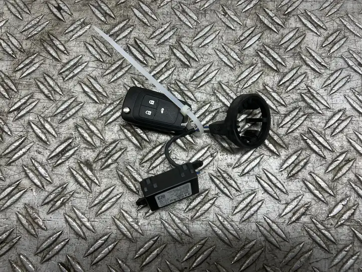 Opel Insignia A (2008 - 2017) 13504286 Антенна иммобилайзера — фото 4