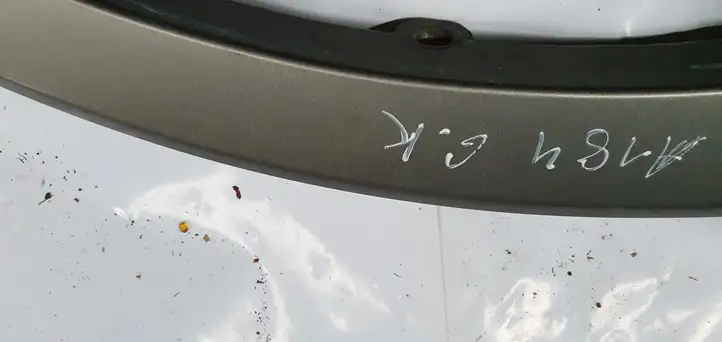 Hyundai ix 55 (2006 - 2012) Молдинг крыла — фото 3