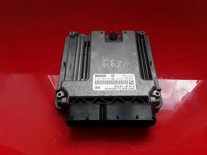 Kia Sorento (2009 - 2014) 391012F010 Блок управления двигателем (ЭБУ) — фото 1