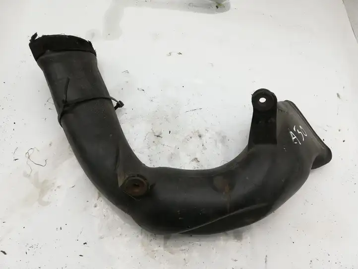 Toyota Avensis Verso (2001 - 2004) 5281144100 Детали воздухозаборника — фото 1