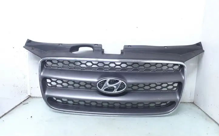 Hyundai Santa Fe (2005 - 2009) E865612B010 Верхняя решетка радиатора — фото 1