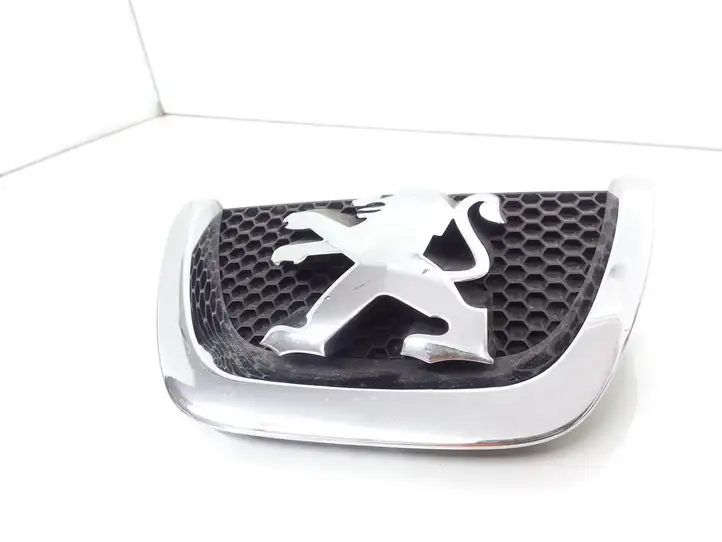 Peugeot Partner (2002 - 2008) 9649670480 Верхняя решетка радиатора — фото 1