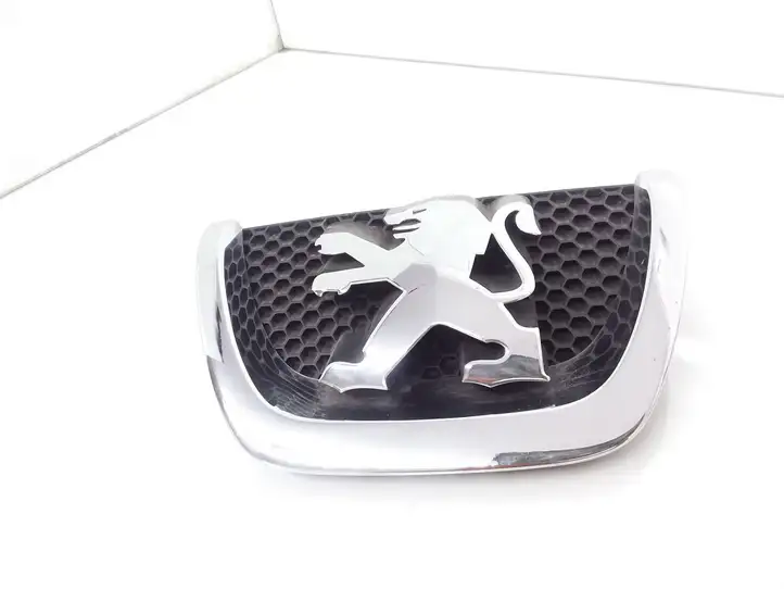 Peugeot Partner (2002 - 2008) 9649670480 Верхняя решетка радиатора — фото 1