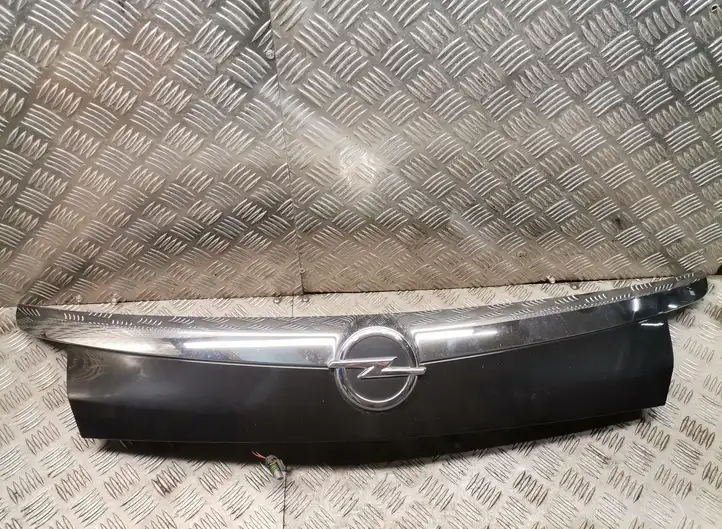 Opel Insignia A (2008 - 2017) Подсветка номера — фото 1