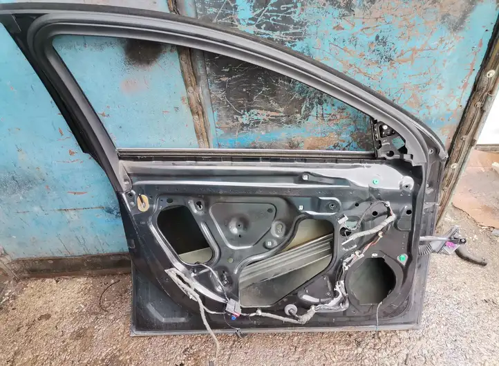 Opel Insignia A (2008 - 2017) Дверь — фото 3
