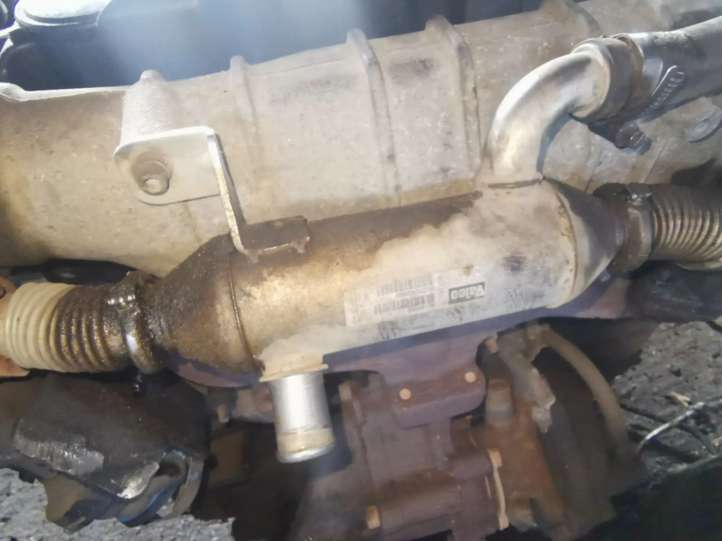 9627242880 Citroen Xsara EGR aušintuvas