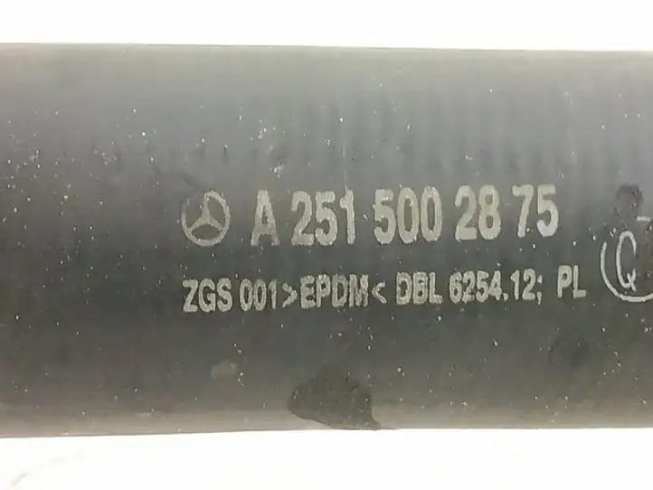 Mercedes-Benz R W251 (2005 - 2013) DALISID4351 Шланги системы охлаждения — фото 5