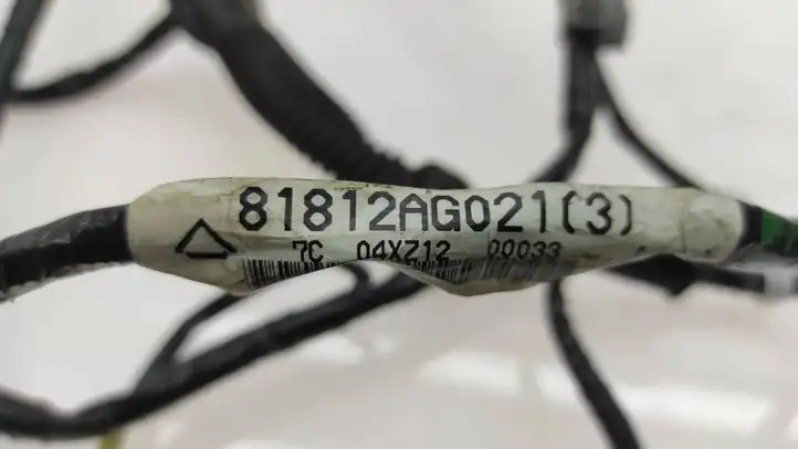 Subaru Legacy (2003 - 2009) 81812AG021 Жгут проводов крышки багажника — фото 4