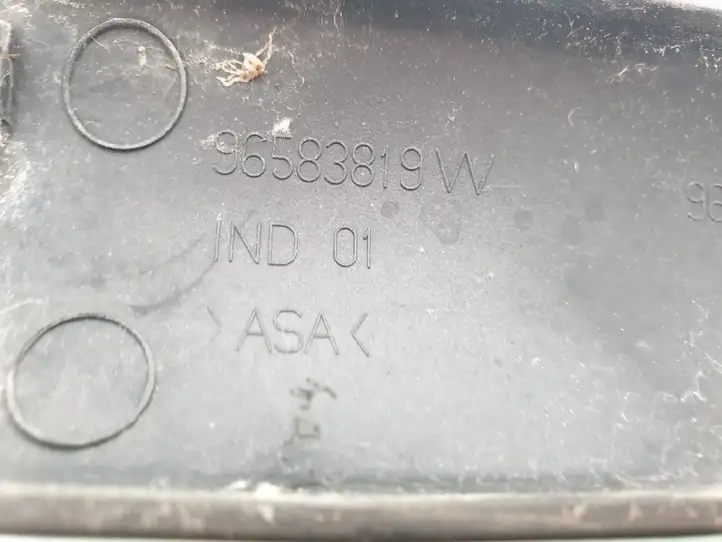 Citroen C4 I Picasso (2006 - 2013) 96583819W Крышка рейлинга — фото 3
