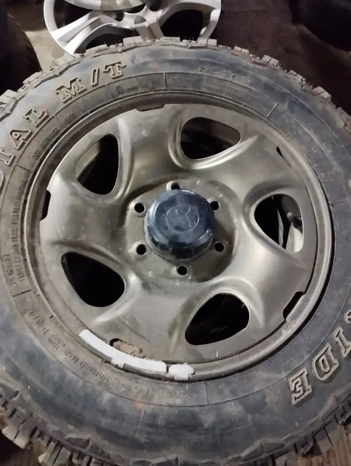 Toyota Hilux (AN10, AN20, AN30) (2004 - 2008) 1K0909613C Зимняя шина C R16 — фото 1