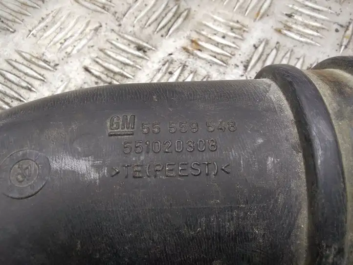 Opel Astra H (2004 - 2009) 55559548 Трубка подачи воздуха — фото 3