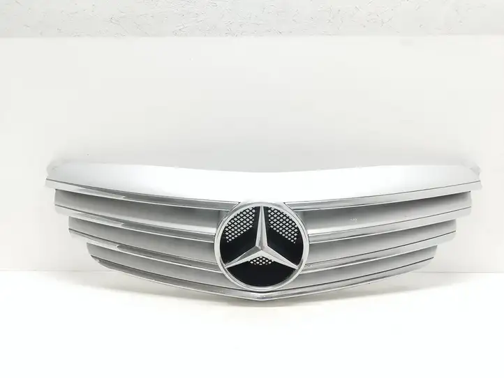 Mercedes-Benz A W169 (2004 - 2012) A1698800783 Верхняя решетка радиатора — фото 1