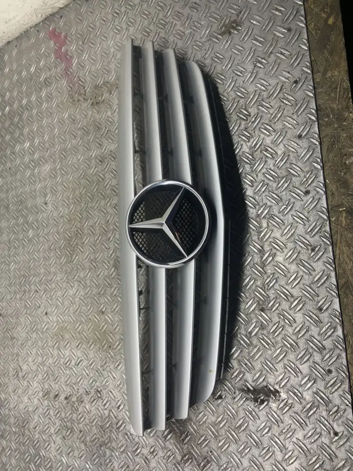 Mercedes-Benz B-class W245 (2008 - 2011) Верхняя решетка радиатора — фото 1