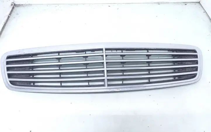 Mercedes-Benz S W220 (1998 - 2006) A2208800383 Верхняя решетка радиатора — фото 1