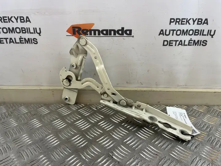Ford Ecosport (2013 - 2018) CN1516800CBRH Петли капота — фото 1