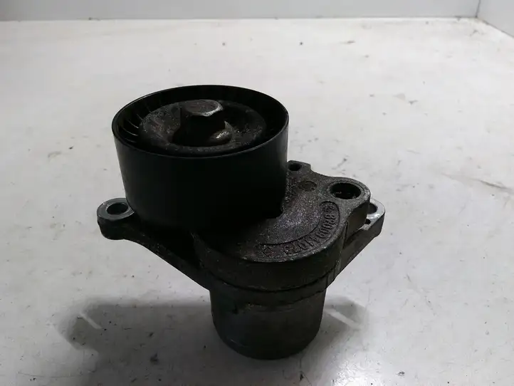 Renault Latitude (L70) (2010 - 2014) 8200941079 Натяжитель ремня — фото 1