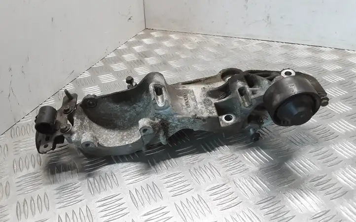 Renault Latitude (L70) (2010 - 2014) 117103585R Кронштейн генератора — фото 2