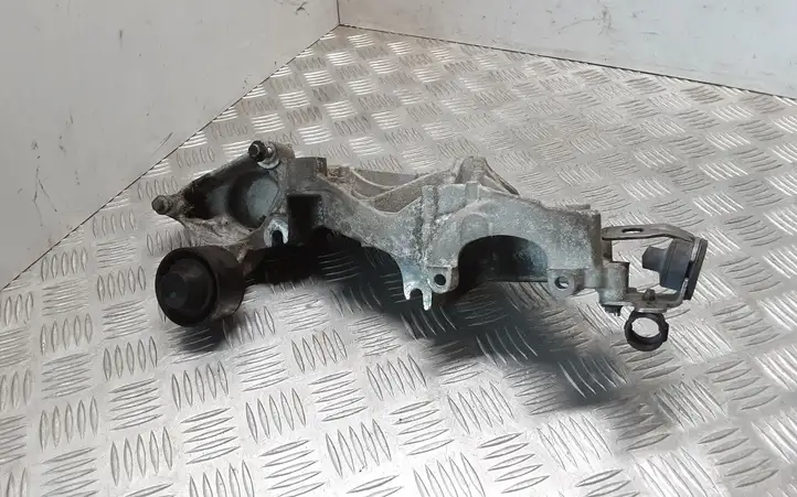 Renault Latitude (L70) (2010 - 2014) 117103585R Кронштейн генератора — фото 4