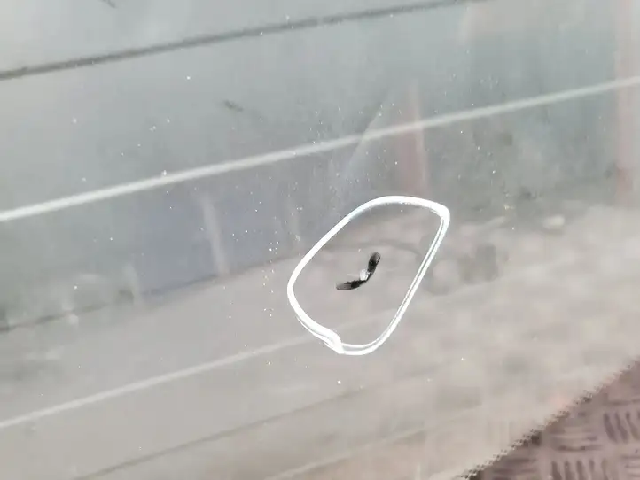 BMW 3 F30 F35 F31 (2012 - 2018) HUD Переднее стекло — фото 2