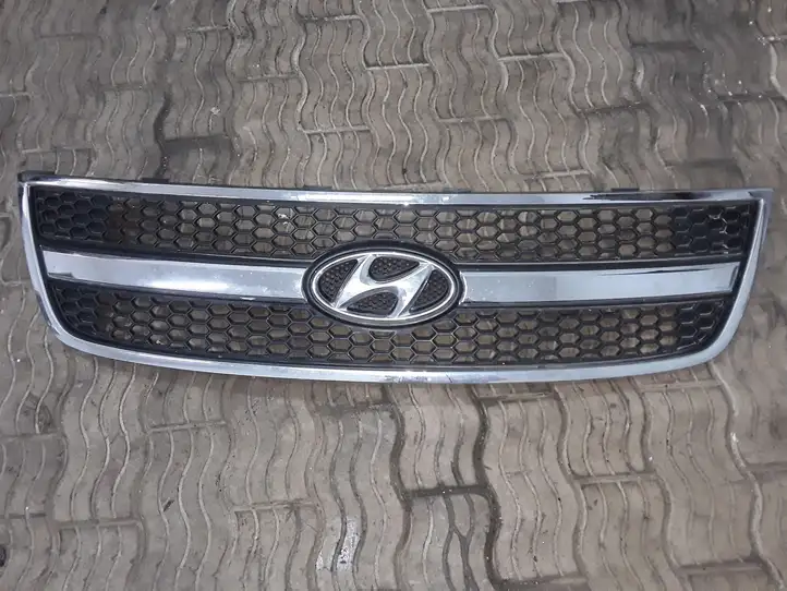 Hyundai H-1, Starex, Satellite (2007 - 2013) 865604H000 Верхняя решетка радиатора — фото 1