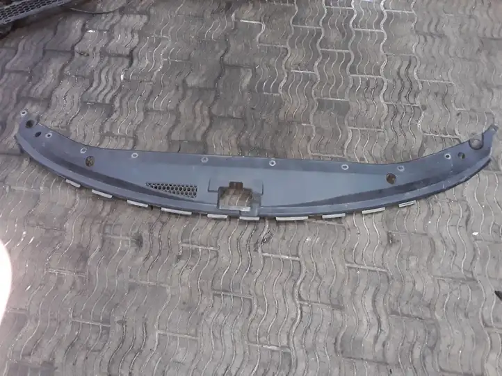 Hyundai H-1, Starex, Satellite (2007 - 2013) 865634H000 Облицовка радиатора — фото 1