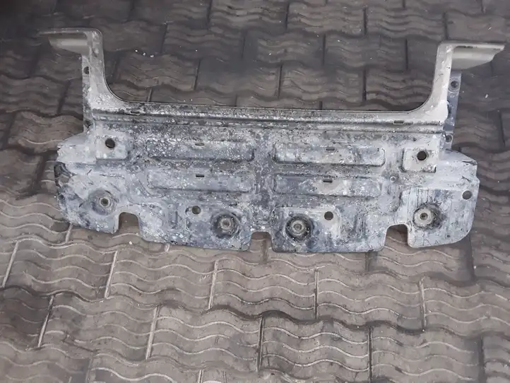 Hyundai H-1, Starex, Satellite (2007 - 2013) 291204H000 Защита двигателя — фото 4