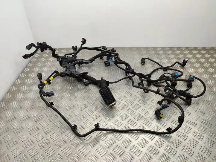 Citroen C4 Grand Picasso (2016 - 2018) 9815468280 Проводка двигателя — фото 1