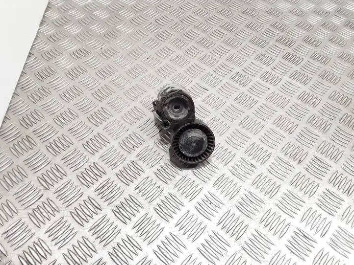 Volkswagen Polo (2009 - 2015)  03D903305F Устройство натяжки ремня