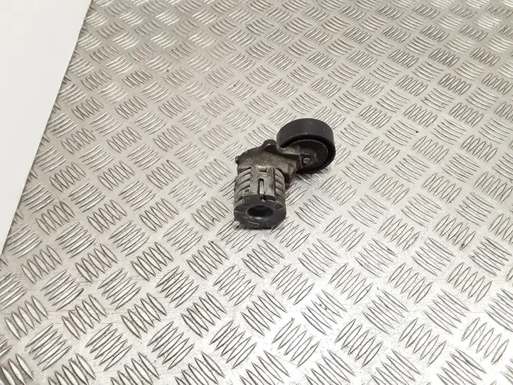 Volkswagen Polo (2009 - 2015)  03D903305F Устройство натяжки ремня