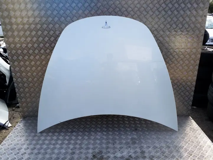 Tesla Model 3 (2017 - 2023) Капот — фото 1