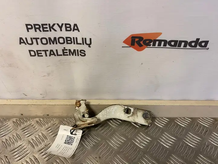 Fiat Ducato (2007 - 2014) Петли капота — фото 1