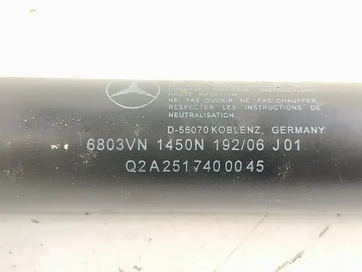Mercedes-Benz R W251 (2005 - 2013) Амортизатор крышки багажника — фото 4