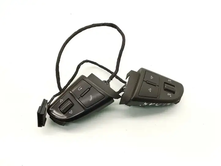 Skoda Octavia Mk2 (1Z) (2004 - 2013) 3T0959538E Кнопки на рулевом колесе — фото 1