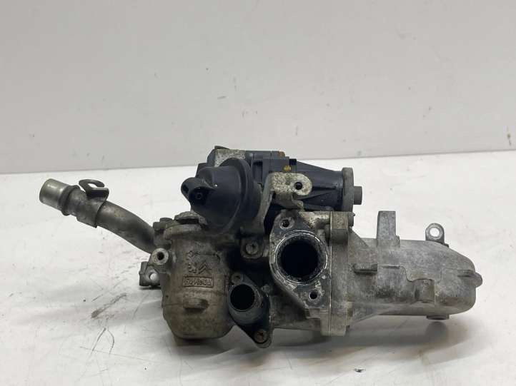 50563903 Ford Focus EGR aušintuvas