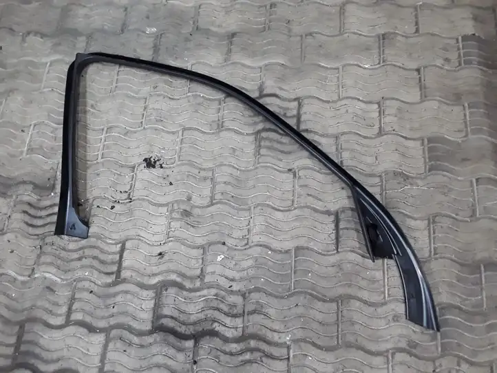 BMW X5 E70 (2006 - 2013) 7129712 Прочая отделка передней двери — фото 2