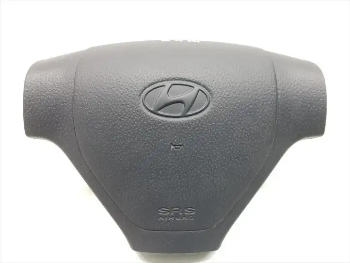 Hyundai Getz (2002 - 2005) TB56101F Подушка безопасности руля — фото 1